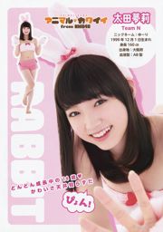 NMB48 Akari Yoshida Kei Jonishi Miyuki Watanabe Kaede Yagura Aya Yamamoto Kanako Muro [Animal joven] 2014 No.17 Fotografía